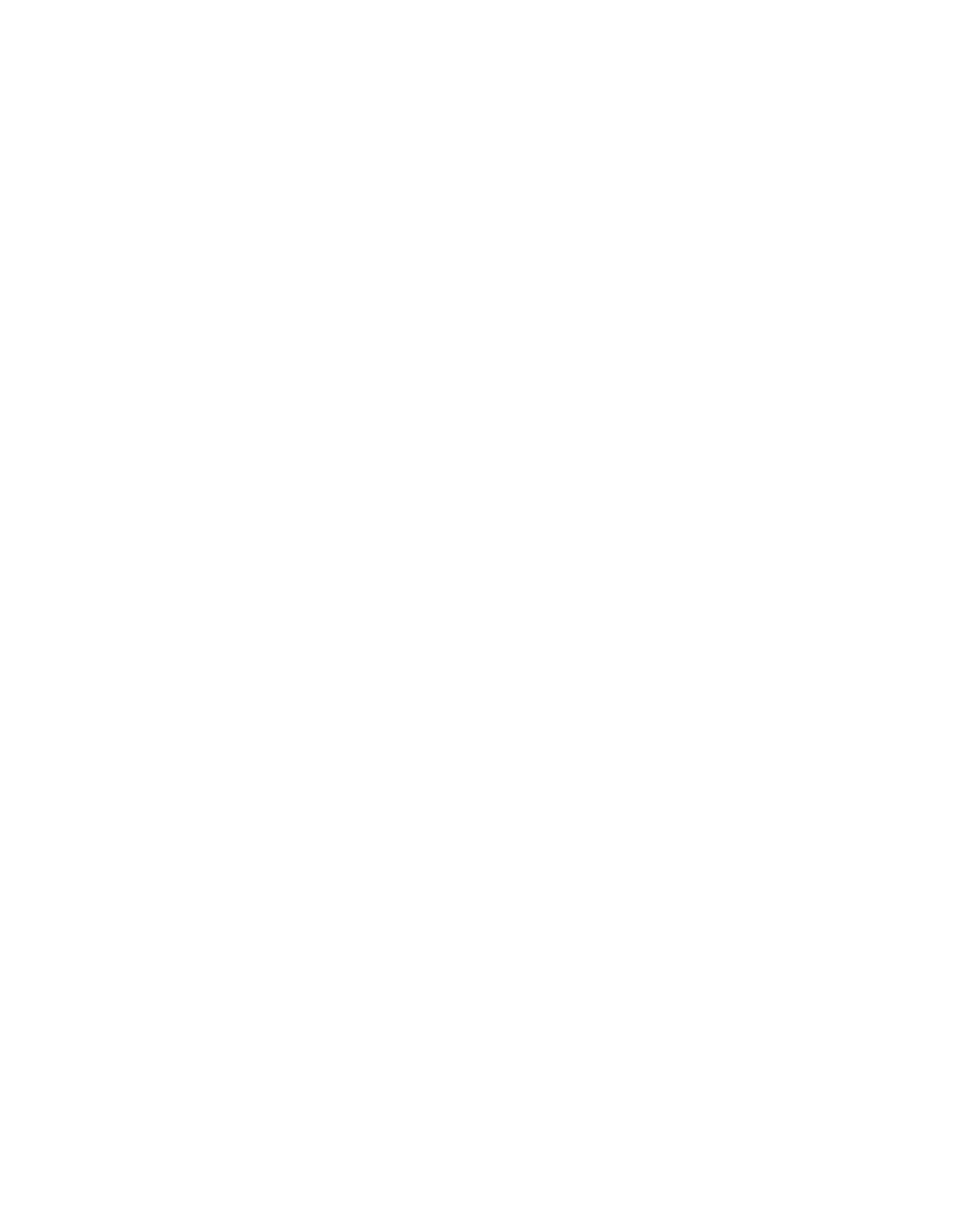 Suze Automatic Gates